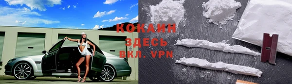 спиды Лиски