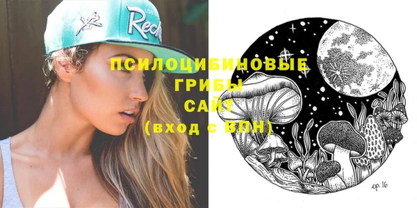 спиды Лиски