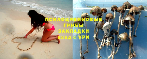 мяу мяу мука Лихославль