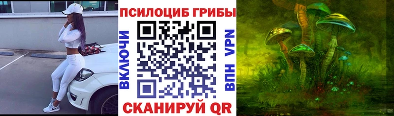 где найти Сегежа Галлюциногенные грибы GOLDEN TEACHER