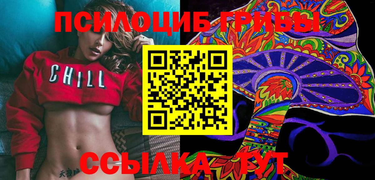 Галлюциногенные грибы прущие грибы  Псилоцибиновые грибы прущие грибы  Сегежа  Вход с VPN 